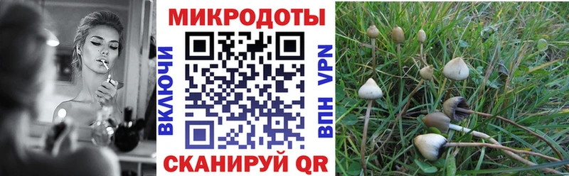 Псилоцибиновые грибы Psilocybe  Щёкино 